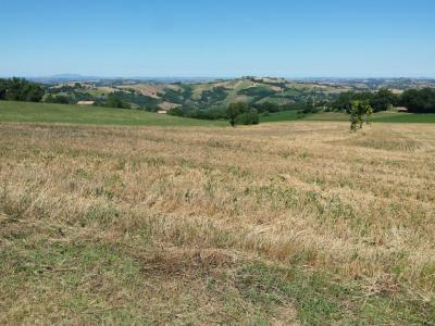 Terreno Edificabile Residenziale in vendita a Gualdo