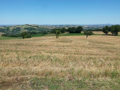 Terreno Edificabile Residenziale in vendita a Gualdo