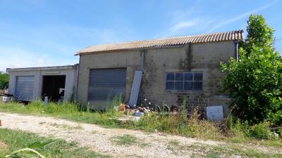 Terreno Agricolo (con / Senza Piccolo Prefabbricato) in vendita a Monsampolo del Tronto