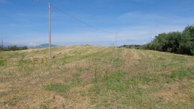 Terreno Agricolo (con / Senza Piccolo Prefabbricato) in vendita a Monsampolo del Tronto