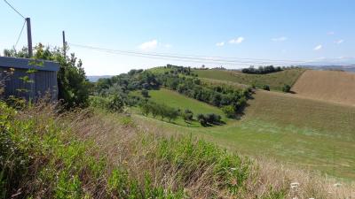 Terreno Agricolo (con / Senza Piccolo Prefabbricato) in vendita a Monsampolo del Tronto