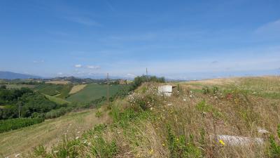 Terreno Agricolo (con / Senza Piccolo Prefabbricato) in vendita a Monsampolo del Tronto