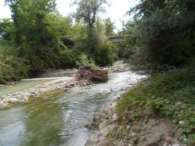 Casale Colonico in vendita a Force