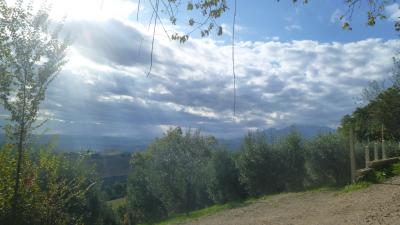 Terreno Agricolo (con / Senza Piccolo Prefabbricato) in vendita a Offida