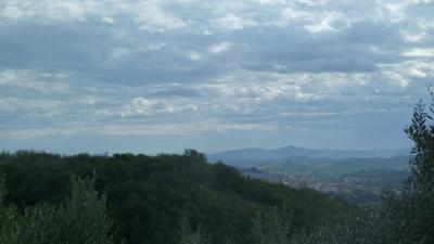 Terreno Agricolo (con / Senza Piccolo Prefabbricato) in vendita a Offida