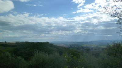 Terreno Agricolo (con / Senza Piccolo Prefabbricato) in vendita a Offida