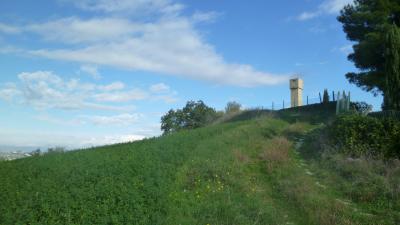 Terreno Agricolo (con / Senza Piccolo Prefabbricato) in vendita a Offida