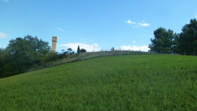 Terreno Agricolo (con / Senza Piccolo Prefabbricato) in vendita a Offida