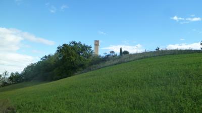 Terreno Agricolo (con / Senza Piccolo Prefabbricato) in vendita a Offida