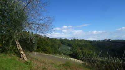 Terreno Agricolo (con / Senza Piccolo Prefabbricato) in vendita a Offida