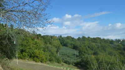 Terreno Agricolo (con / Senza Piccolo Prefabbricato) in vendita a Offida