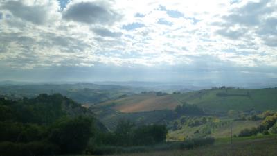 Terreno Agricolo (con / Senza Piccolo Prefabbricato) in vendita a Offida