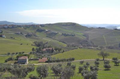 Casale Colonico in vendita a Offida