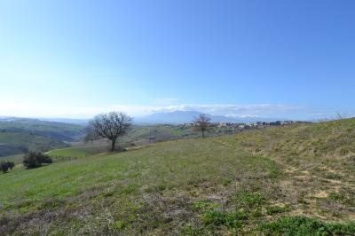 Casale Colonico in vendita a Offida