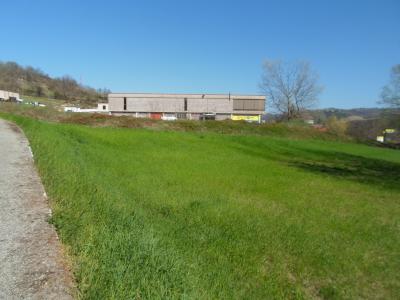 Terreno Edificabile Artigianale / Industriale in vendita a Comunanza