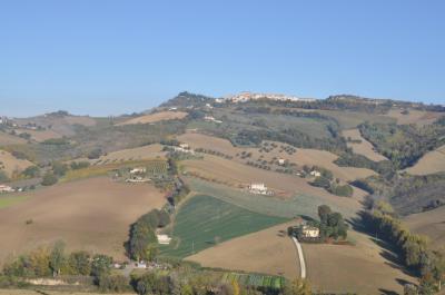 Terreno Agricolo (con / Senza Piccolo Prefabbricato) in vendita a Ripatransone