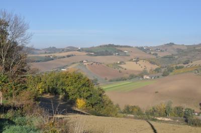 Terreno Agricolo (con / Senza Piccolo Prefabbricato) in vendita a Ripatransone