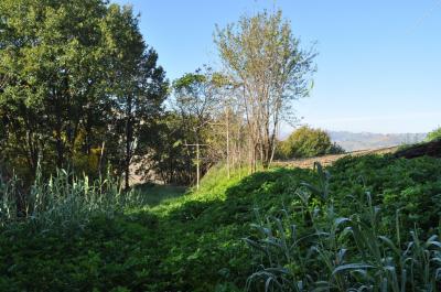 Terreno Agricolo (con / Senza Piccolo Prefabbricato) in vendita a Ripatransone