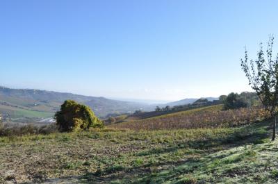 Terreno Agricolo (con / Senza Piccolo Prefabbricato) in vendita a Ripatransone