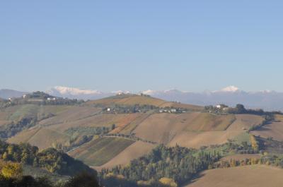 Terreno Agricolo (con / Senza Piccolo Prefabbricato) in vendita a Ripatransone