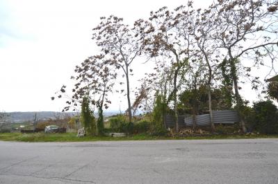 Terreno Edificabile Residenziale in vendita a Monteprandone