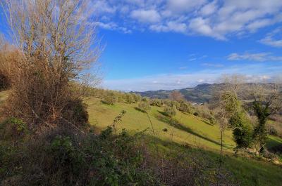 Casale Colonico in vendita a Ripatransone