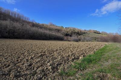 Casale Colonico in vendita a Ripatransone