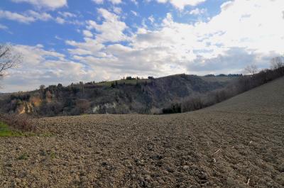 Casale Colonico in vendita a Ripatransone