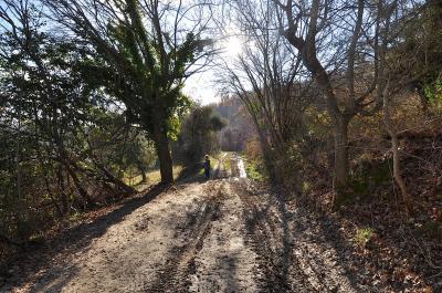 Casale Colonico in vendita a Ripatransone