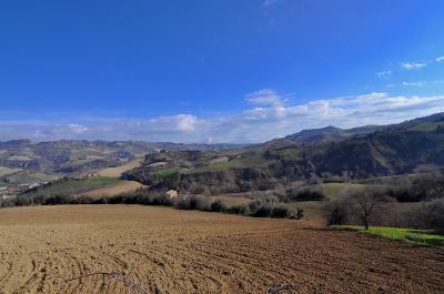 Casale Colonico in vendita a Ripatransone