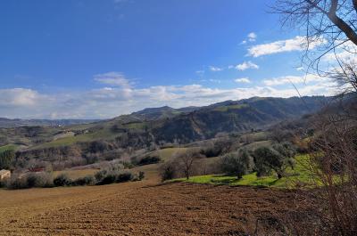 Casale Colonico in vendita a Ripatransone