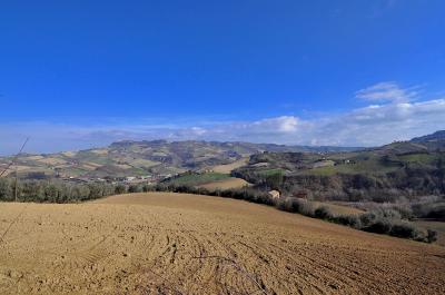 Casale Colonico in vendita a Ripatransone