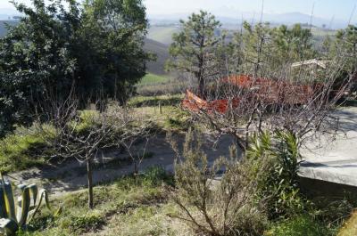 Villa singola in vendita a Monteprandone