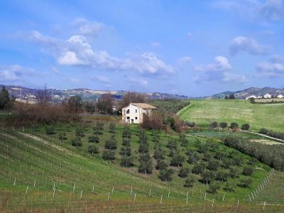 Casale Colonico in vendita a Appignano del Tronto