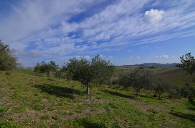 Rustico in vendita a Appignano Del Tronto (AP)