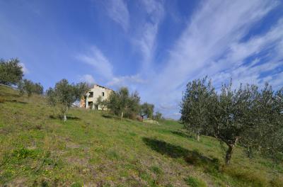 Casale Colonico in vendita a Appignano del Tronto