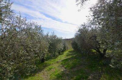 Rustico in vendita a Appignano Del Tronto (AP)