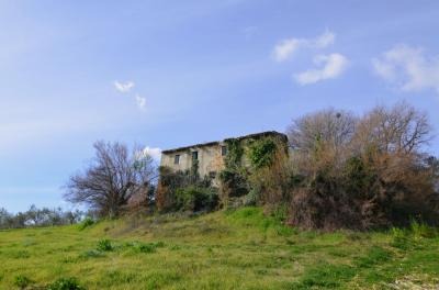 Casale Colonico in vendita a Appignano del Tronto