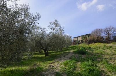 Casale Colonico in vendita a Appignano del Tronto