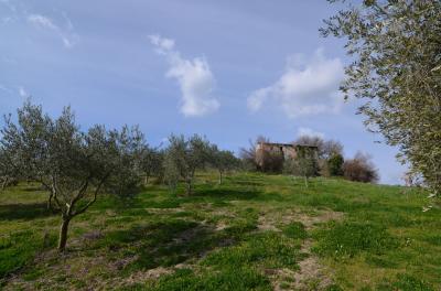 Casale Colonico in vendita a Appignano del Tronto