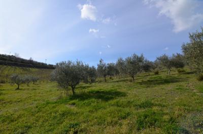 Casale Colonico in vendita a Appignano del Tronto