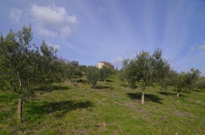 Casale Colonico in vendita a Appignano del Tronto