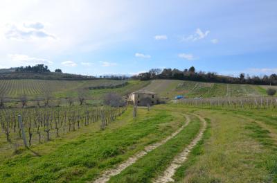 Casale Colonico in vendita a Appignano del Tronto