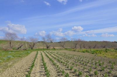 Rustico in vendita a Appignano Del Tronto (AP)