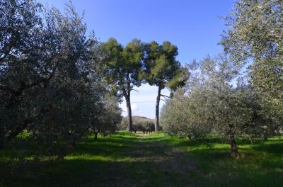 Rustico in vendita a Appignano Del Tronto (AP)