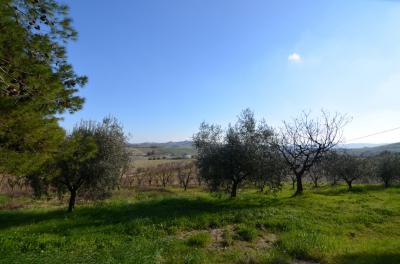 Casale Colonico in vendita a Appignano del Tronto