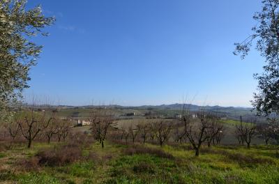 Casale Colonico in vendita a Appignano del Tronto