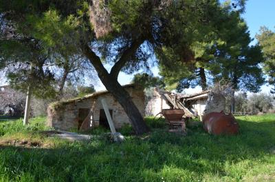 Casale Colonico in vendita a Appignano del Tronto