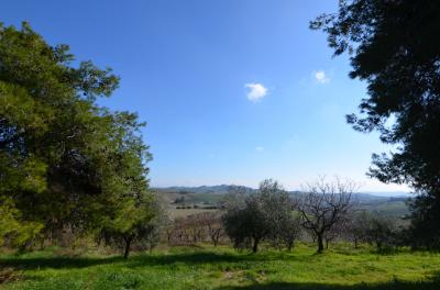 Casale Colonico in vendita a Appignano del Tronto