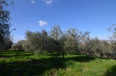 Rustico in vendita a Appignano Del Tronto (AP)